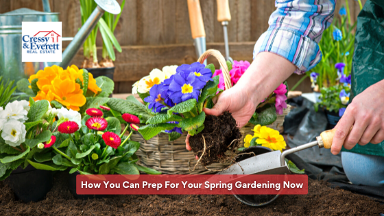 Gardening season is approaching fast, and we have the tips to ensure a bright and lush garden all summer long.