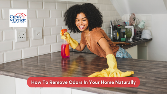 Lighting a candle may not be enough to rid your home of odors. Here's how you can freshen up your home naturally.